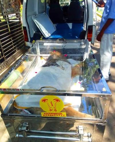 Pet Cremation Services